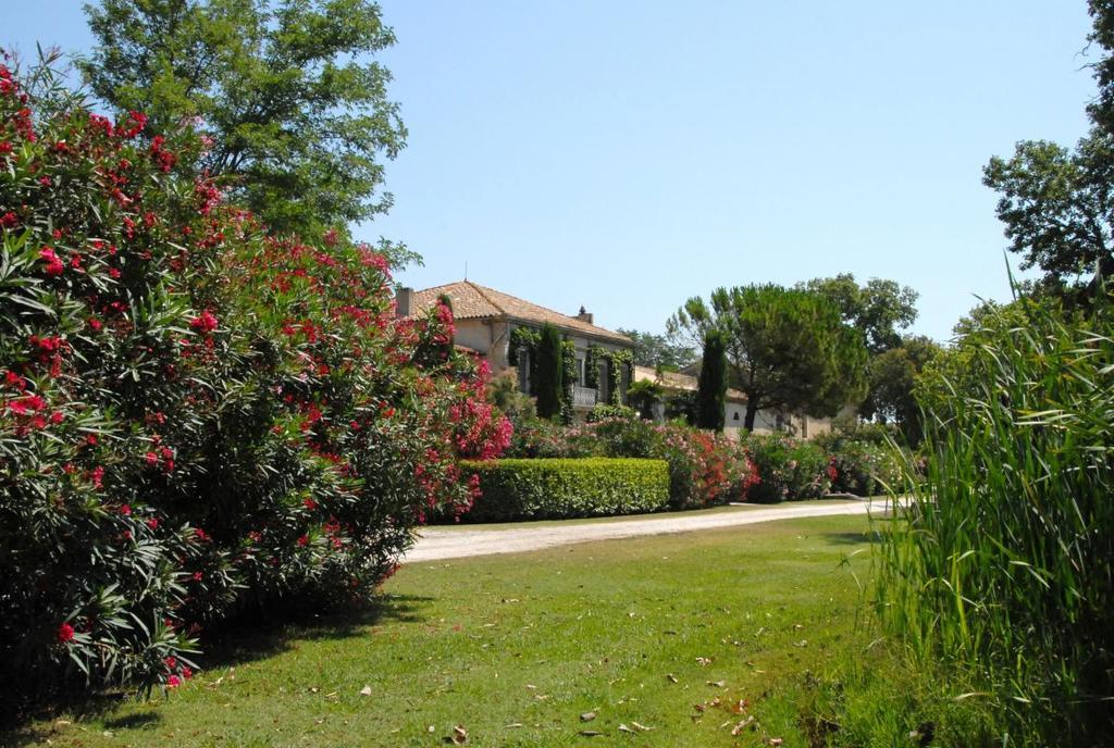 Mas Antonelle Villa Arles Bagian luar foto