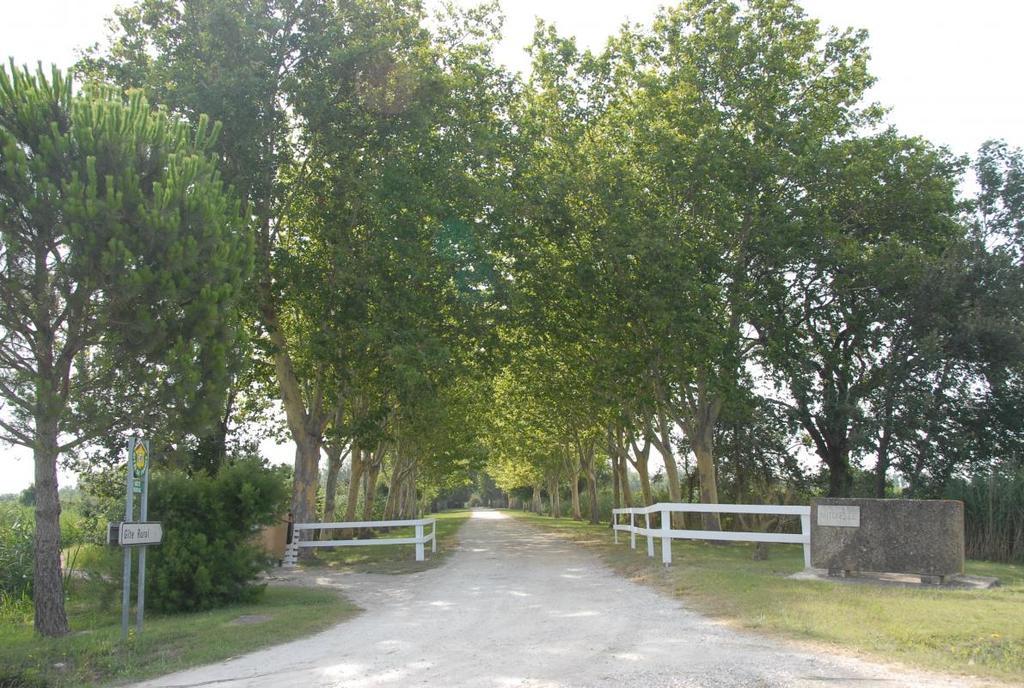 Mas Antonelle Villa Arles Bagian luar foto