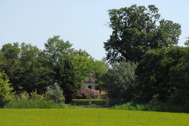 Mas Antonelle Villa Arles Bagian luar foto